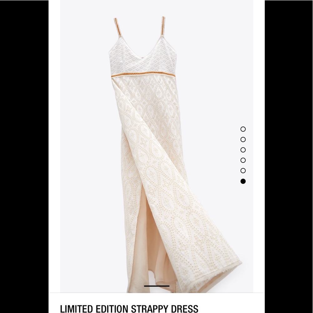 Zara Limited Edition Dress